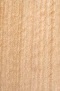 EUCALYPTUS BLOCK FIGURED