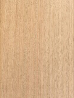 EUCALYPTUS STRAIGHT GRAIN