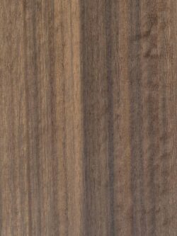 SMOKED EUCALYPTUS-001