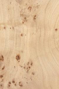 POPLAR BURL