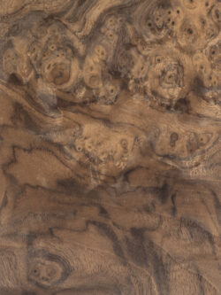 WALNUT BURL SWIRL