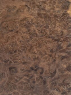WALNUT BURL