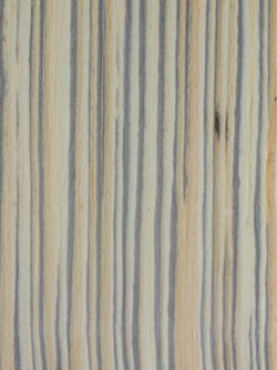 PRE NATURAL GREY T7P1