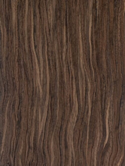 WALNUT THREAD SU.03