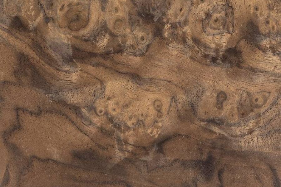 WALNUT BURL SWIRL Natural Veneer