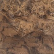 WALNUT BURL SWIRL Natural Veneer